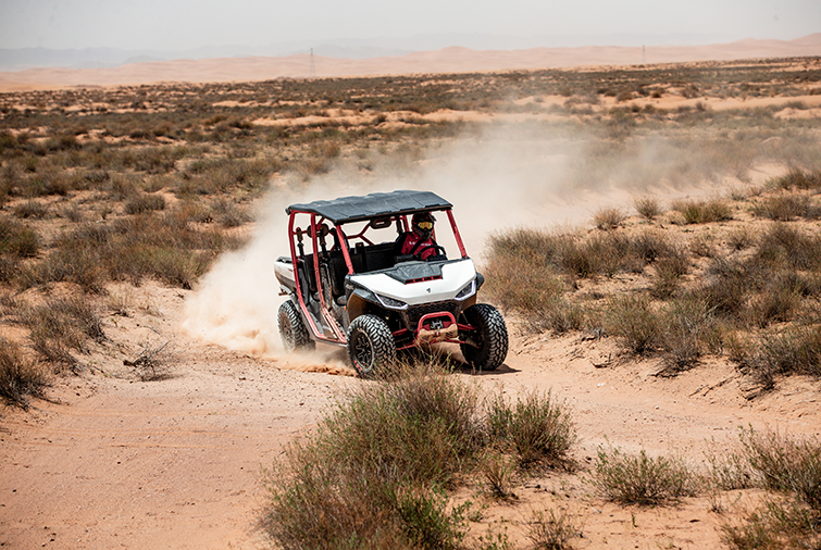 ADJUSTABLE ELECTRIC POWER STEERING (EPS)